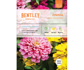 Zinnia, Lilliput Seed