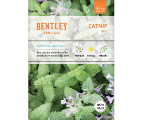 Catnip Seed Packets