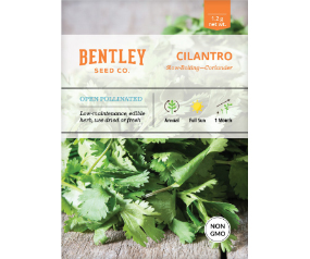 Cilantro, Slow Bolting