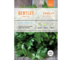 Parsley, Plain Italia
