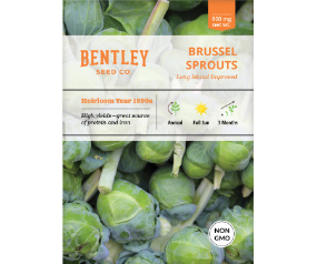 Brussel Sprouts, Long Island