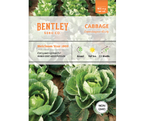 Cabbage, Copenhagen Early