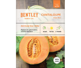 Cantaloupe, Hale's Best