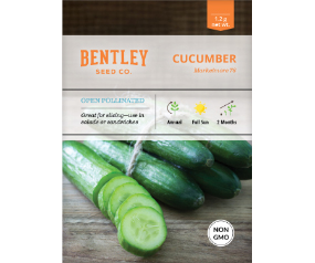 Cucumber, Marketmore  76