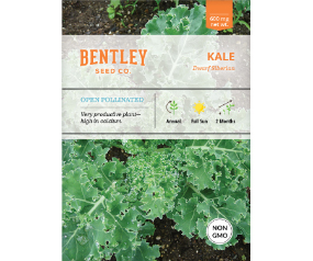 Kale, Dwarf Siberian