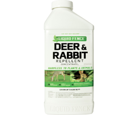 Deer & Rabbit 40 Oz Conc
