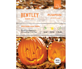 Pumpkin, Jack O'Lanteen