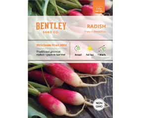 Radish, French Breakfast