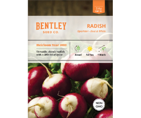 Radish, Sparkler Seed