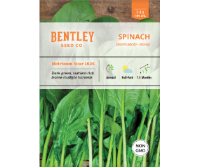 Spinach, Bloomsdale Seed
