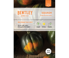 Squash, Acorn Table Queen