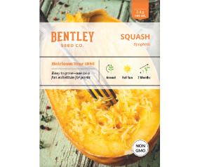 Squash, Spaghetti Seed