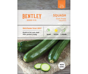 Squash, Zucchini Black Beauty