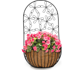 Multi Daisy Wall Plantr w/Coco