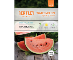 Watermelon, Sugar Baby