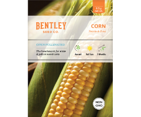 Corn, Pearls and Gold