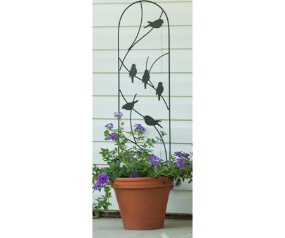 Trellis 40