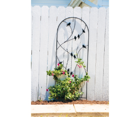 Trellis 72