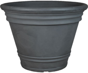 D53 CC20BKSL