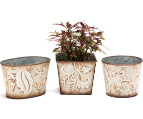 Planter Venetian Variety Pack