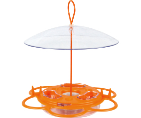 All-In-One Oriole Buffet