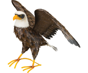 Eagle Dec Wing Up