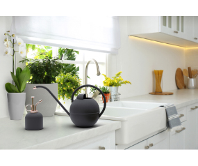 Mister & Watering Can