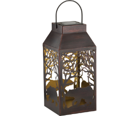 Shadow Slr Lnt Square Bear