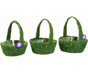 Arroyo Moss Basket Set Of 3