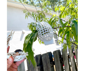 Fruit Cage Small 6 PK