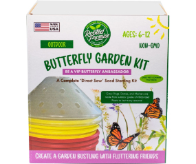 Butterfly Kit Kids