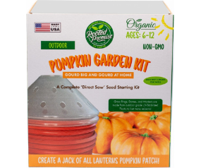 Pumpkin Kit Kids
