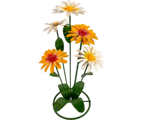 Daisy Bush #6