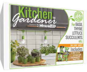 MLED Kitchen Garden 4KK