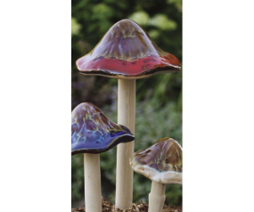 Lg Natural Mushroom Asst