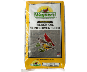 Black Oil Sunflower 40lb