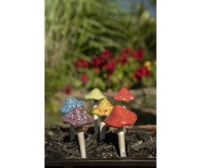 Sm. Bright Mushroom Collection