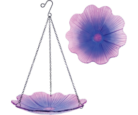 EcoCycle Violet Begonia