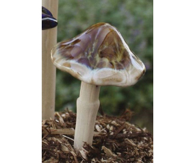 Small Natural Mushroom 6 Pc