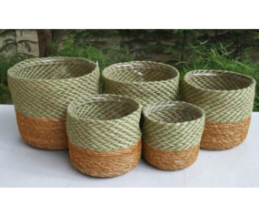 C111 HANDLOOM102