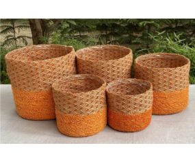 C111 HANDLOOM106
