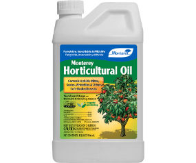 Horticultural Oil Qt