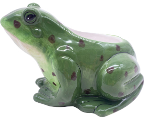 Frog 8