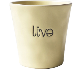 Live Love Garden 5