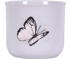 Lilyanna Butterfly 4