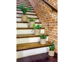 Jute Planter Sustainable Set 6