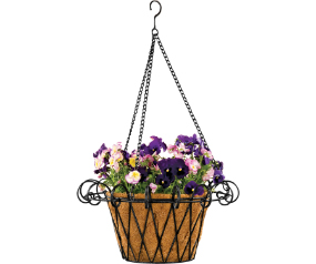Hanging Basket French With