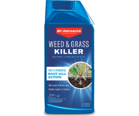 Weed & Grass Killer 32oz Conc