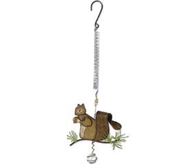 Squirrel Bouncy