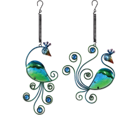 Peacock Bouncy 2 Asst